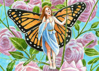 fairy pictures